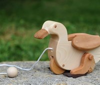 Ducky:   Verwendete Holzarten: Körper: Ahorn; Räder: Rotbuche; Flügel, Schnabel und F