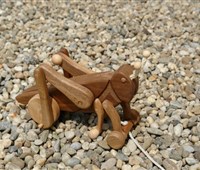 Grashüpfer:   Ein liebenswertes Insekt!    Die großen Sprungbeine laufen auf Rollen und 