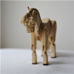 Pferd:       Ein Freund, um damit über Wiesen und Felder zu galoppieren. Beine, Hal